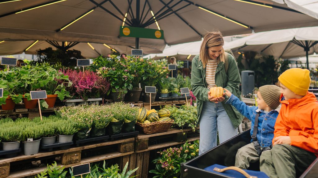 Brico et Jardin face aux arbitrages : 5 leviers promo pour relancer la demande